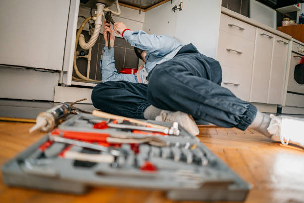 Best Plumbing Inspection Services  in Harrogate, TN