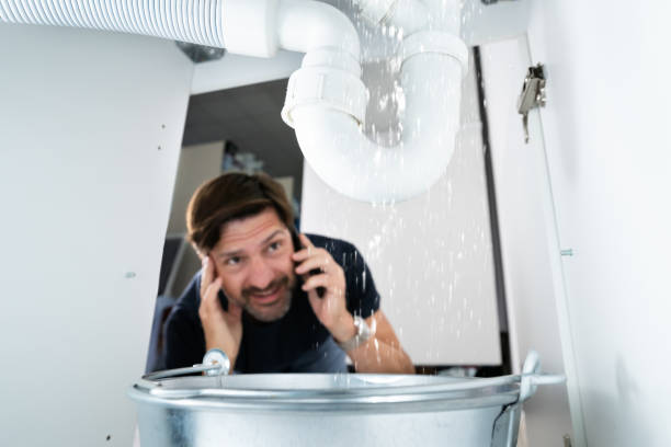 Best Leak Detection Services  in Harrogate, TN