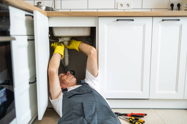 Best Pipe Repair Near Me  in Harrogate, TN